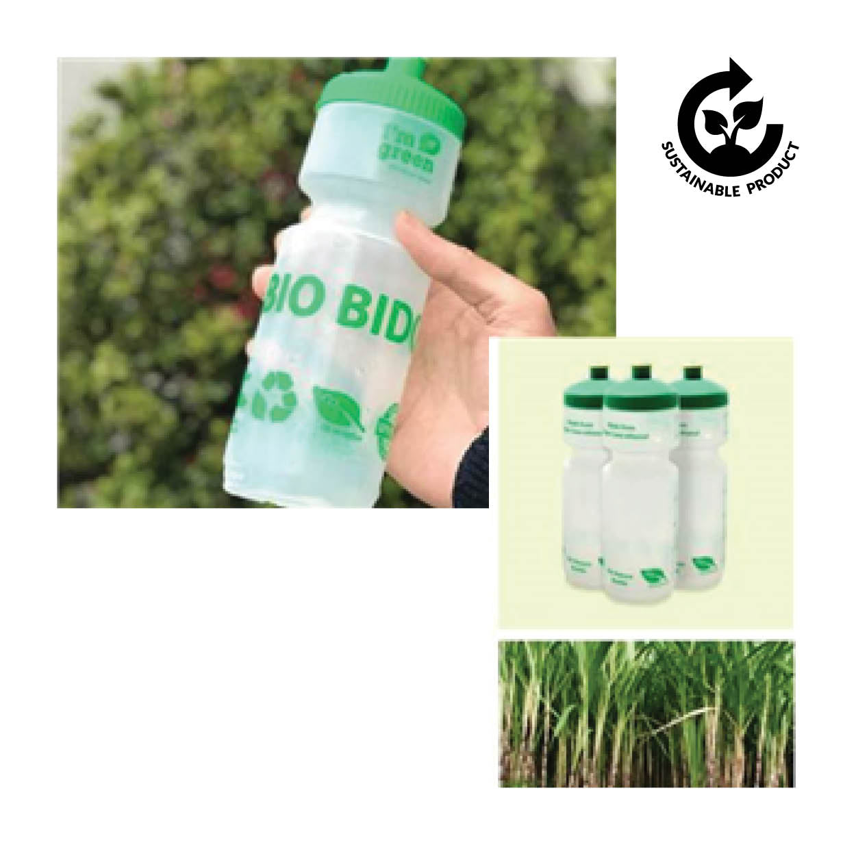 Organic Water Bottle Made from Renewable Sugar Cane