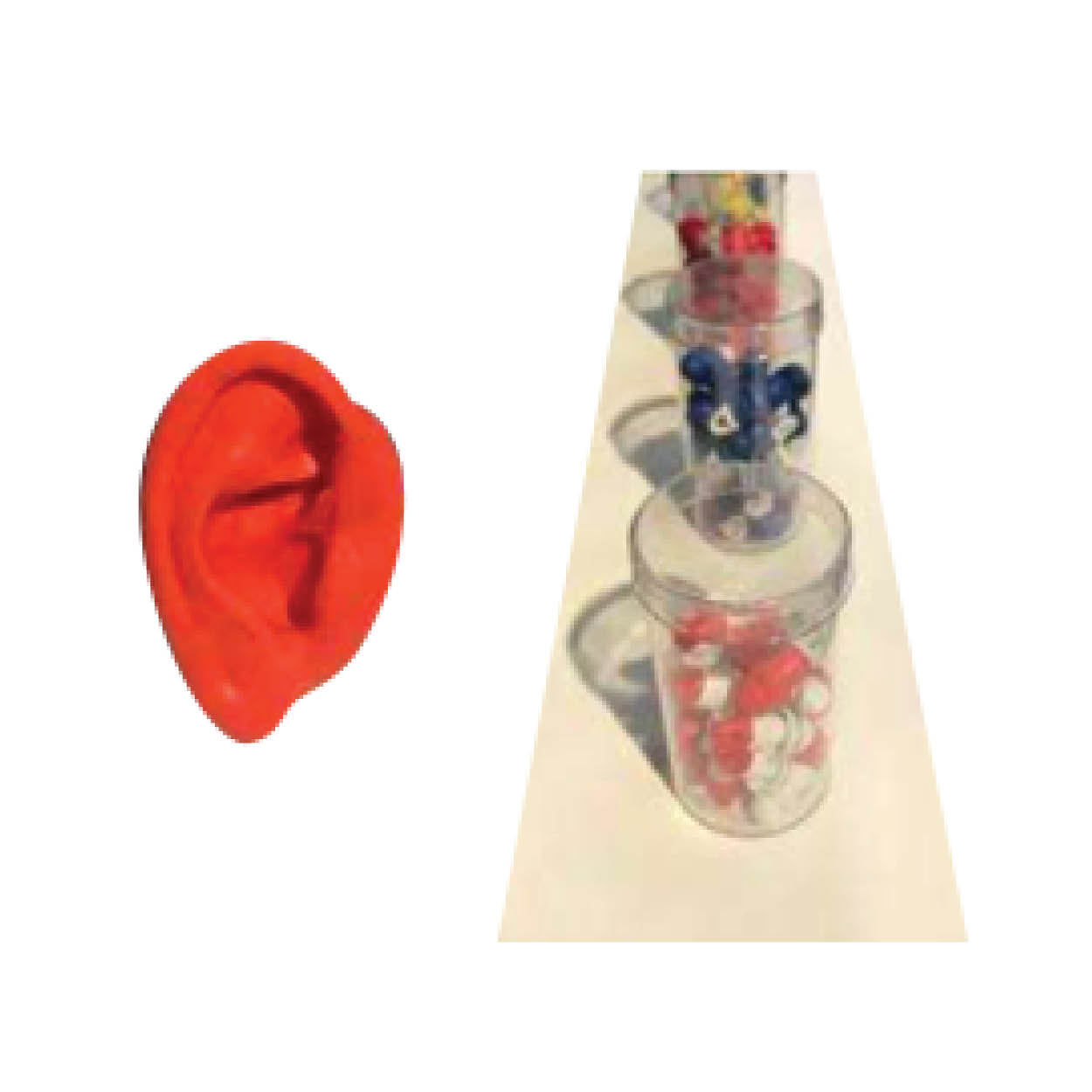 Ear Plugs