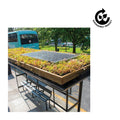 BEE Bus Stop