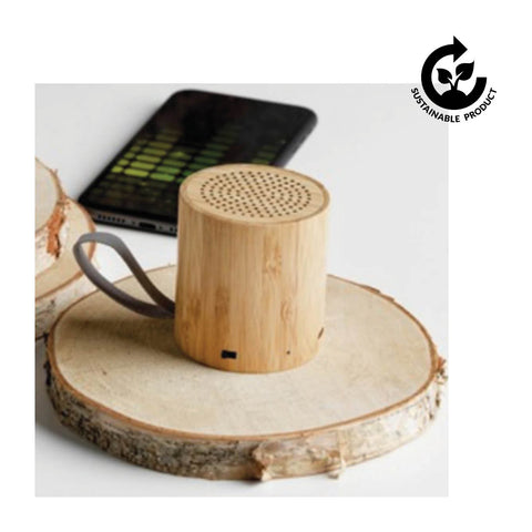 Bamboo Speaker