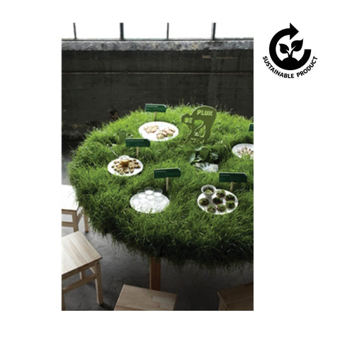 Organic Mood for FUZE Tea