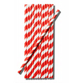 Bar Butler Paper Straw Red & White Check