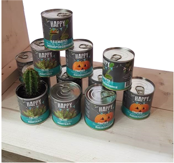 Cactus in a Tin