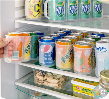 Fridge Storage Idea