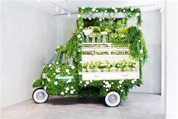 Display Solution for Natural Brands Like Adez, Honest or Fuze Tea