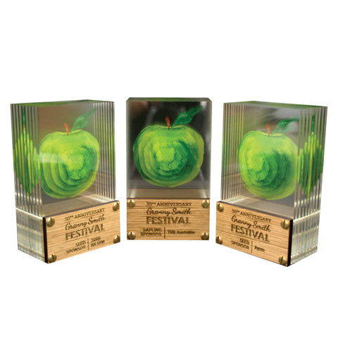 Wood and Glass Trophy