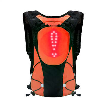LED Backpack