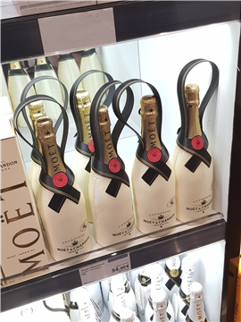 Bottle Pouch with Integrated Handle