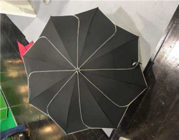 Leaf Shaped Umbrella