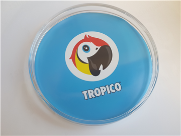 Tropico Coin Tray
